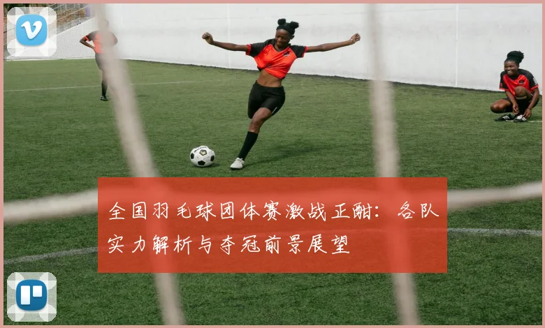 全国羽毛球团体赛激战正酣：各队实力解析与夺冠前景展望