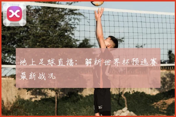 地上足球直播：解析世界杯预选赛最新战况