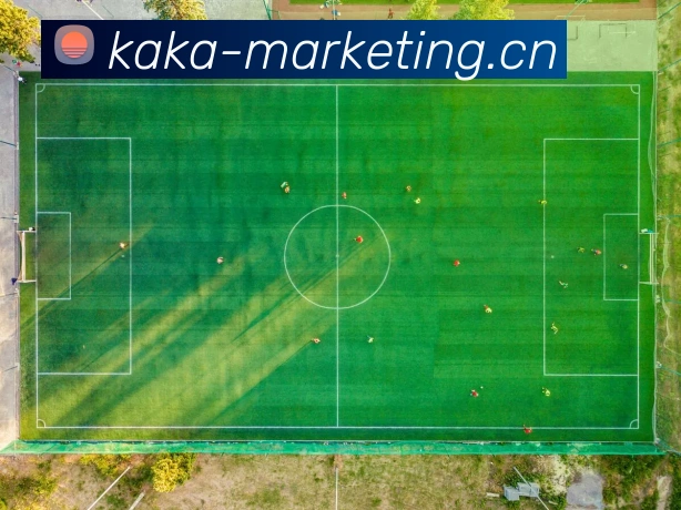 云开体育app官网体验版平台生态图